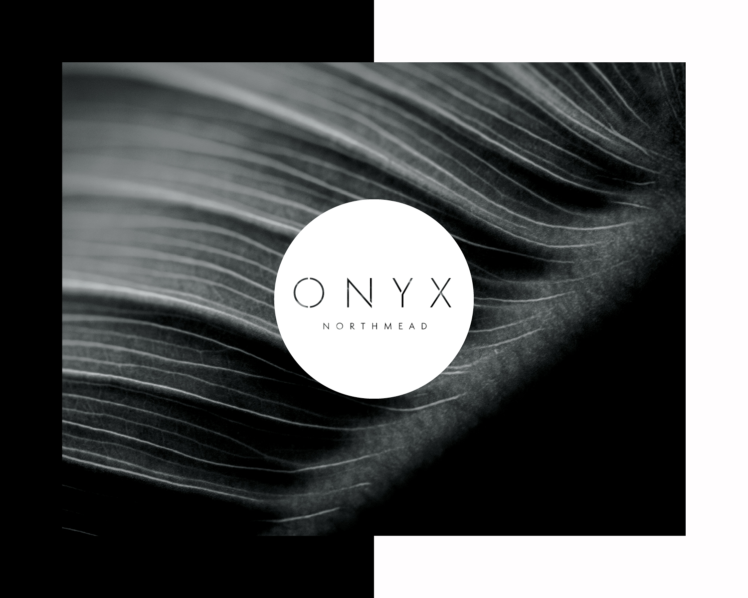 Onyx-Logo2