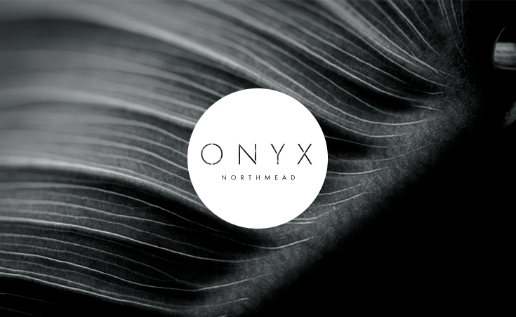 Onyx_735x452